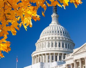 US Capitol with autumn leaves